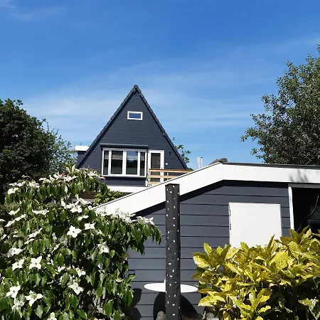 Benb Humblebee Met Jaccuzi