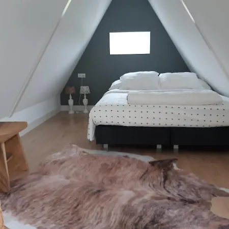 Benb Humblebee Met Jaccuzi Alkmaar